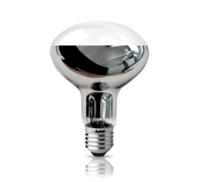 ECO HALOGEN R80 Ε27 53W 2800Κ 840LM 120D ΦOSME