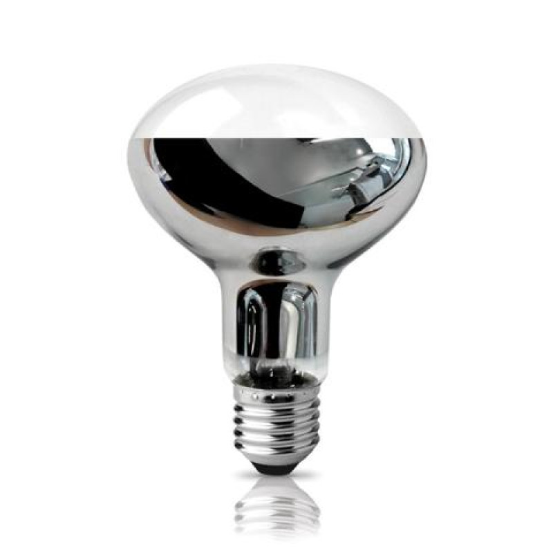 ECO HALOGEN R80 Ε27 53W 2800Κ 840LM 120D ΦOSME
