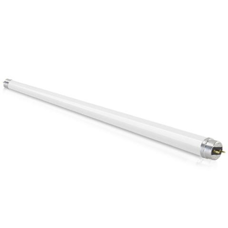 LED T8  20W 1.20m G13 6500K 2000LM 360D MEGAMAN