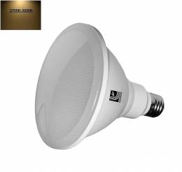 Λαμπτήρας PAR38 15W 42V