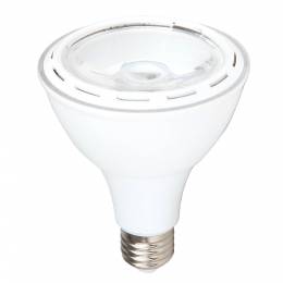 Λαμπτήρας LED PAR30 E27 12W