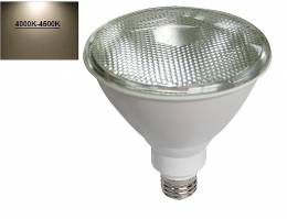 Λαμπτήρας LED PAR38 Ε27 10W 230V